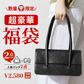 2025 福袋 ショルダーバッグ レディース バッグ トートバッグ レディース 何が入るかはお楽しみ バッグ2点 福袋 バッグの福袋 プレミアムバッグ 福袋 2025