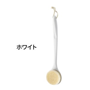 {fBuV  _炩 w wuV C  O  jLr wjLr _炩 ~ ɍ ɍז }bT[W {fB[uV oX ь uV  LȂ CO