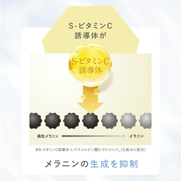 楽天市場】SHIRORU (シロル) クリスタル プロテクトクリーム (1個/30g 