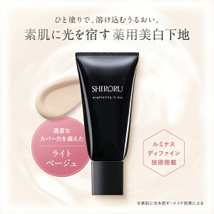 SHIRORU�i�V�����j���� �Z�����C�� �x�[�X���C�N ���ω��n �u���C�g�j���O �C�� �f�C