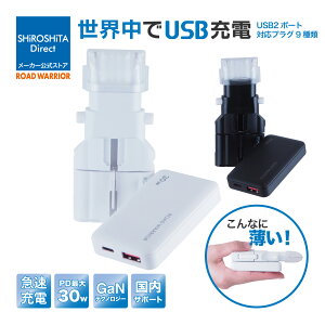 PD30W �}���[�d �C�O �}���` �ϊ��v���O RWG134 ���^ 2�|�[�g USB-C USB-A �S���E�Ή� �ϊ��A�_�v�^ �C�O���s �[�d�� �R���p�N�g �R���Z���g �}���` �C�O ���E usb�[�d�� PD QC iPhone iPad Macbook Android