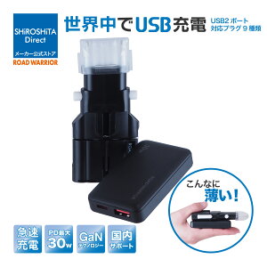 PD30W �}���[�d �C�O �}���` �ϊ��v���O RWG134 ���^ 2�|�[�g USB-C USB-A �S���E�Ή� �ϊ��A�_�v�^ �C�O���s �[�d�� �R���p�N�g �R���Z���g �}���` �C�O ���E usb�[�d�� PD QC iPhone iPad Macbook Android