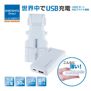 PD30W �}���[�d �C�O �}���` �ϊ��v���O RWG134 ���^ 2�|�[�g USB-C USB-A �S���E�Ή� �ϊ��A�_�v�^ �C�O���s �[�d�� �R���p�N�g �R���Z���g �}���` �C�O ���E usb�[�d�� PD QC iPhone iPad Macbook Android