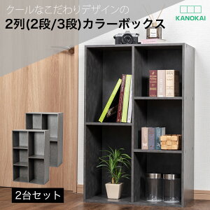 _yVX[p[SALE艿iI^2(2i/3i)J[{bNX [{bNX BOX [Ƌ 2Zbg 2g eʃ^Cv OUTLET AEgbg ^O[ Xg[ubN KCBOX (ꕔ