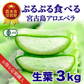 【定期購入】アロエベラ 食用 生葉 3kg 沖縄・宮古島産｜有機JAS オーガニック 国産アロエ