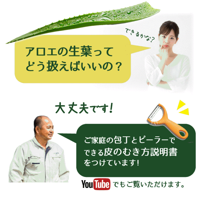 楽天市場】【楽天SS期間限定10%OFF】アロエベラ 生葉 沖縄 宮古島 国産 ... 楽天市場】【楽天SS期間限定10%OFF】アロエベラ 生葉 沖縄 宮古島 国産 ...