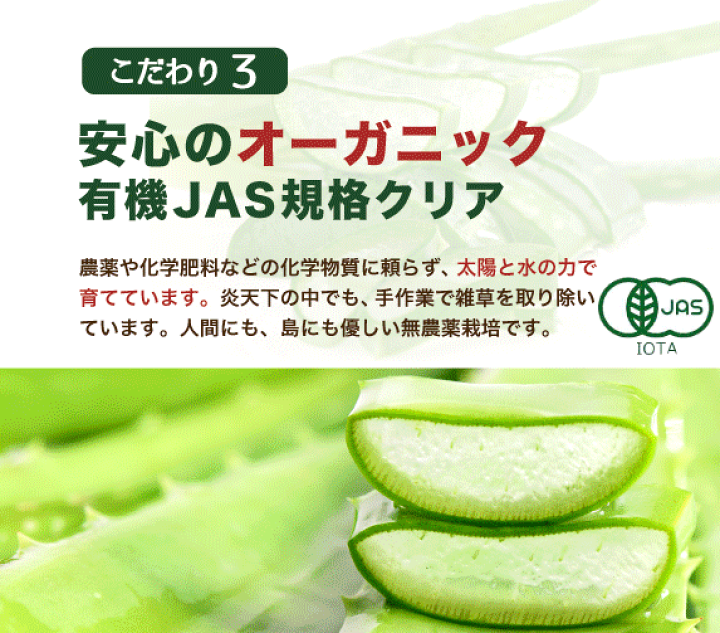 楽天市場】【栽培用】アロエベラ 苗 2株 有機JAS 沖縄 宮古島 国産 ... 楽天市場】【栽培用】アロエベラ 苗 2株 有機JAS 沖縄 宮古島 国産 ...
