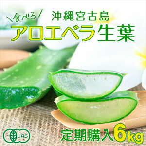 ywzAGx Hp t 6kg E{ÓYbL@JAS I[KjbN YAG