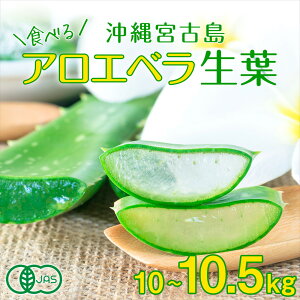 AGx Hp t 10`10.5kg E{ÓYbL@JAS I[KjbN YAG