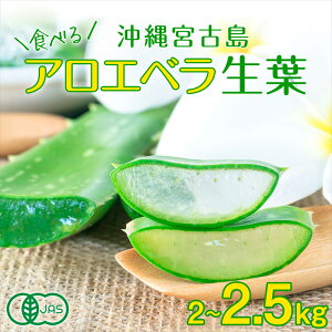 AGx Hp t 2`2.5kg E{ÓYbL@JAS I[KjbN YAG