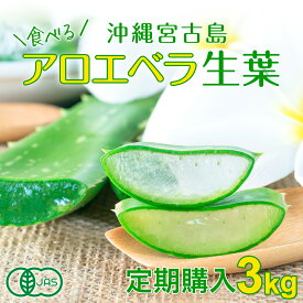 【定期購入】アロエベラ 食用 生葉 3kg 沖縄・宮古島産｜有機JAS オーガニック 国産アロエ