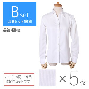 y5Zbgz D Vc uEX   7 fB[X ItBX Jb^[Vc CVc tH[} M[   yVc   傫TCY l1-l22-5set z