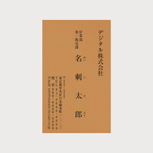 fUCh - COLOR STYLE Ly9.1cm×5.5cmz Vv fUC h Жʈ 100