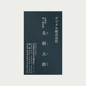 fUCh - COLOR STYLE _[Nu[y9.1cm×5.5cmz Vv fUC h Жʈ 100