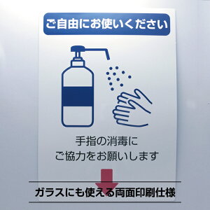 ł肢V[XebJ[y21cm×29.7cmzA4 ӊN Ǒ΍ TCXebJ[ X m Ri  w ē X