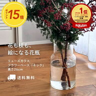 【花も枝も生けやすいシンプルでおしゃれな花瓶】リューズガラス フラワーベース ネック 高さ26cm 花瓶 …