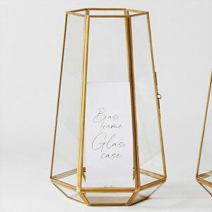  shesay BRASSt[KXP[XwLTS 28cm KXP[X GLASS KX BRASS uX ^J V[P[X Y  LED hCt[ fBXvC NX}Xv[g NX}