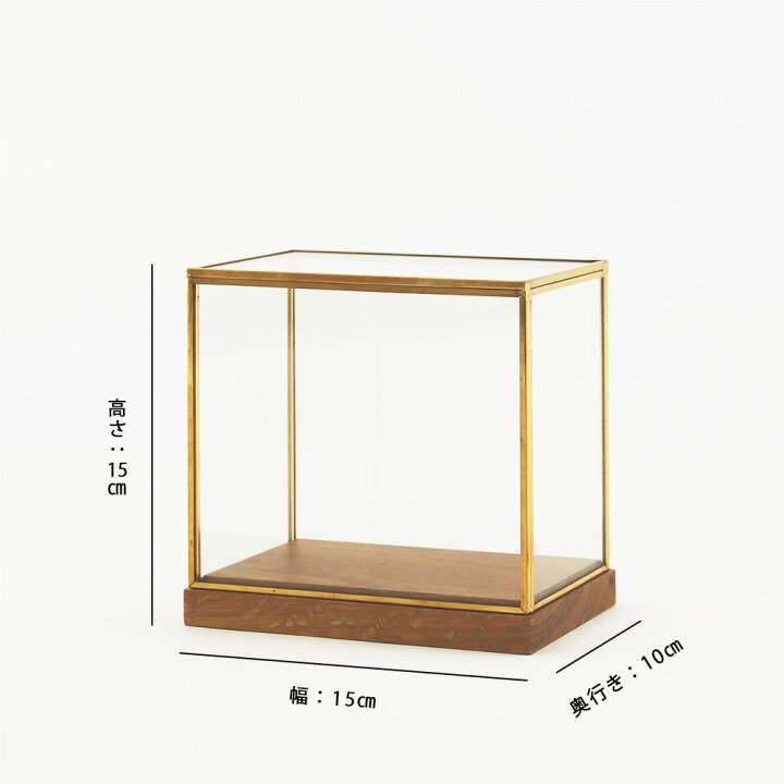 楽天市場】shesay BRASSフレームディスプレイBOXワイド(S) H15cm ディスプレイ BOX BRASS ブラス 真鍮 ガラスケース  ショーケース 什器 収納 旧:SHISEI-Hornplease : shesay