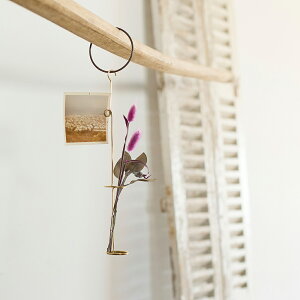 yƂĂizshesay BRASSNbvt[nMO BRASS uX ^J t[x[X ԕr 30cm ֑} Ǌ| hCt[ ȃXy[X nhCh :SHISEI-Hornplease ̓