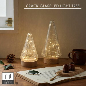 y|CgUPz shesay NbNKXLEDCgc[ 2TCY 19.5cm 26cm LED  Cg fXN Ɩ dr R[hX NX}X NX}Xc[ c[  Mtg v[