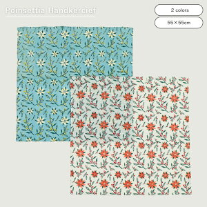  shesay ؂̎ƃ|CZ`ÃubNvgnJ` 2J[ 50×50 nJ` |CZ`A NX}X Rbg 100 v[g Mtg ٓ  傫 唻 킢 