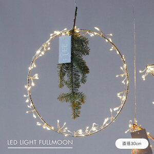 yƂĂiz shesay LEDCgnMOC[t[ 30cm LED Cg dr C[ [  nMO ݂ NX}X Mtg v[g fBXvC  p[e