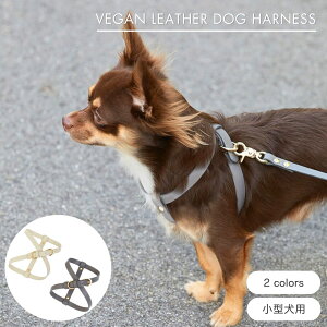  shesay B[KU[DOGn[lXNX S2F 30`40cm n[lX ^ ybg B[KU[ TXeiu O  xg  [hʔ i` Vv U 