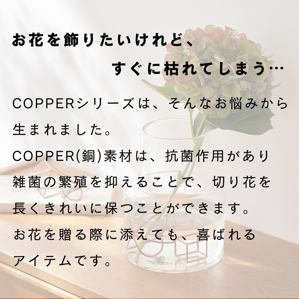 公式 人気商品 shesay COPPER コッパー フラワーライフ スティック 長さ30cm | 銅 ブロンズ イオン 銅イオン 抗菌 切り花 水 長持ち 花瓶 フラワ−ベース 花器 プレゼント ギフト おしゃれ シンプル 一輪挿し 花束 実用的 - メイン画像 13