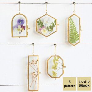  shesay BRASSnMO~jt[ 5p^[ BRASS uX ^J AeB[N t[ ~j  nMO ݂邷  t [t hCt[ vo nhCh Vv