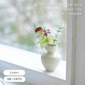  shesay COPPER t[Ct XeBbN N[o[ EH[^[|s[ 2p^[  CI R E ؂   ԕr t[x[X Ԋ v[g Mtg  Vv 