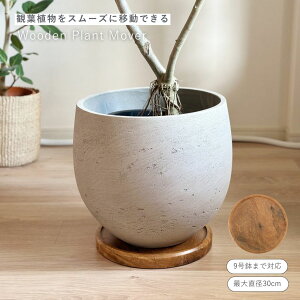 yƂĂiz shesay Ȃ߂炩ȊSñvg[o[ ϗtA XC_[ ړ ֗ K[f O[ }  |bg Ebh  i` CeA  v[