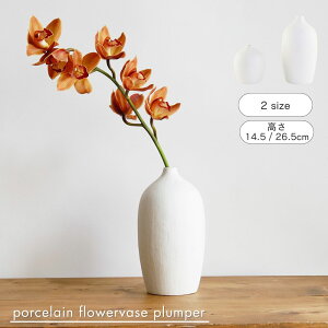  shesay }bgȎ̎퐻̃t[x[X vp[ 2TCY ԕr Ԋ  ĕ }bg a m Vv i` ֑} CeA hH  VbN _ v