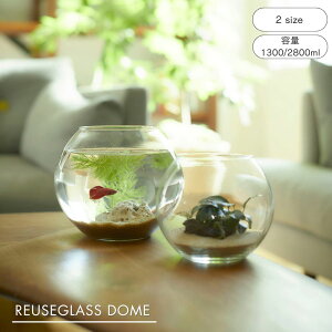  shesay [YKX h[ v[p 2TCY e1300ml e2800ml ԕr  h[^  eE {^jJ t[x[X ԕr O[ nhCh [YKX 