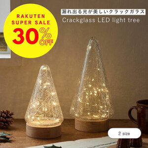 y4`SALEiz shesay NbNKXLEDCgc[ 2TCY 19.5cm 26cm LED  Cg fXN Ɩ dr R[hX NX}X NX}Xc[ c[  Mtg v