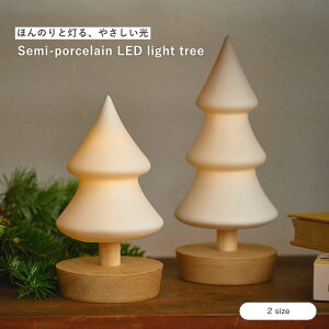 y|CgUPzVi  shesay Ȍ𓔂LEDCg c[ 2TCY LED Cg Ɩ c[ Ebh  k i` Vv CeA  v[g Mtg Ԑڏ