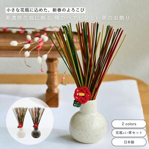 Vi  shesay ZĉԕrEEւ̐Zbg 2J[ {      VN U U^  L N L   N[[V