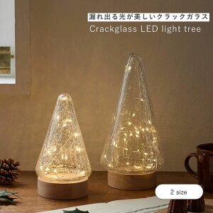 ���� shesay �N���b�N�K���X��LED���C�g�c���[ 2�T�C�Y ����19.5cm 26cm LED ��� ���C�g �f�X�N �Ɩ� �d�r�� �R�[�h���X �N���X�}�X �N���X�}�X�c���[ �c���[ ������� �M�t�g �v���[���g ���� �Ԑ�