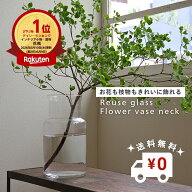 【ポイントUP&送料無料】 6/10ランキング1位 高評価 公式 shesay リューズガラスフラワーベース ネック …