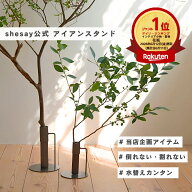 【ポイントUP】 SNSで話題 6/12花瓶ランキング1位 公式 shesay 大きな枝物も飾れるアイアンスタンド 2サ…