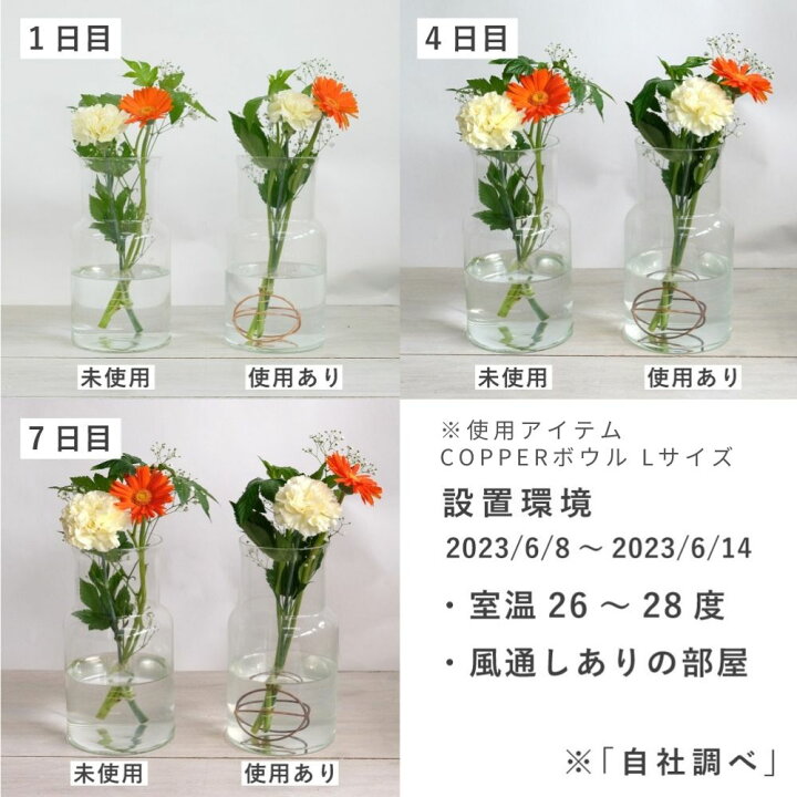 楽天市場】【母の日ラッピング無料】公式 shesay COPPER フラワー  