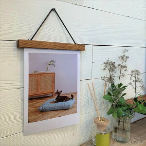  shesay WOODoChz_[ 24cm 17cm 12cm ACACIA WOOD AJVA ؐ VR z_[ Ǌ| J[hz_[ Xe[Vi[ i` nhCh ̓ dp