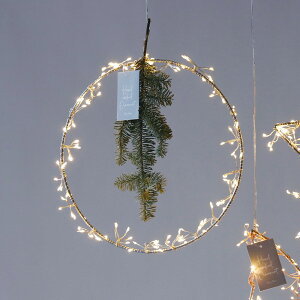 y݌Ɍ̓ʉiz shesay LEDCgnMOC[t[ 30cm LED Cg dr C[ [  nMO ݂ NX}X Mtg v[g fBXvC  p