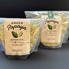 ドライ青パパイヤ 100g 青パパイヤ ドライフルーツ 乾燥野菜 野菜チップス 食物繊維 サラダ 炒め物 スープ エスニック料理 タイ料理 パパイヤ おつまみ 常備食 保存食 トッピング 料理素材 ヘルシー 食品 グルメ お取り寄せ ギフト プレゼント