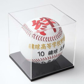 楽天市場 ボール バレーボール スポーツ アウトドア の通販