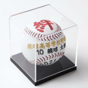 stꕶV[YwJE܁EjEx \tg{[TCYhJ{[ ށEƋLO cj DLO j oYj ̓ v[g i IWi I[_[C