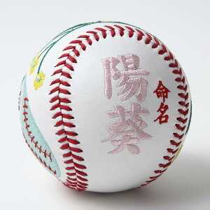 硬式 野球ボール ベビー キッズの人気商品 通販 価格比較 価格 Com