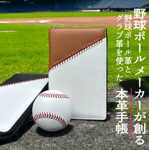 싅{[v×Ouv {vVXe蒠 J_[ tB B6 oCuTCY yJ[2ށz 蒠 싅ObY Y {v v 20 30 싅 싅{[ 싅 hJ v[g Mtg