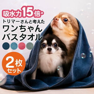 y 2Zbg ybgp oX^I z z 񂿂 v[g