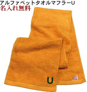 CjV ^Iy}t[^IRF@UzO X|[c ^  ^I hJ  v[g Wp^I  ^ 20cm×115cm Z ^ ̈ 