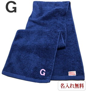 CjV ^Iy}t[^IlCr[@GzO X|[c ^  ^I hJ  v[g Wp^I  ^ 20cm×115cm Z ^ ̈ 